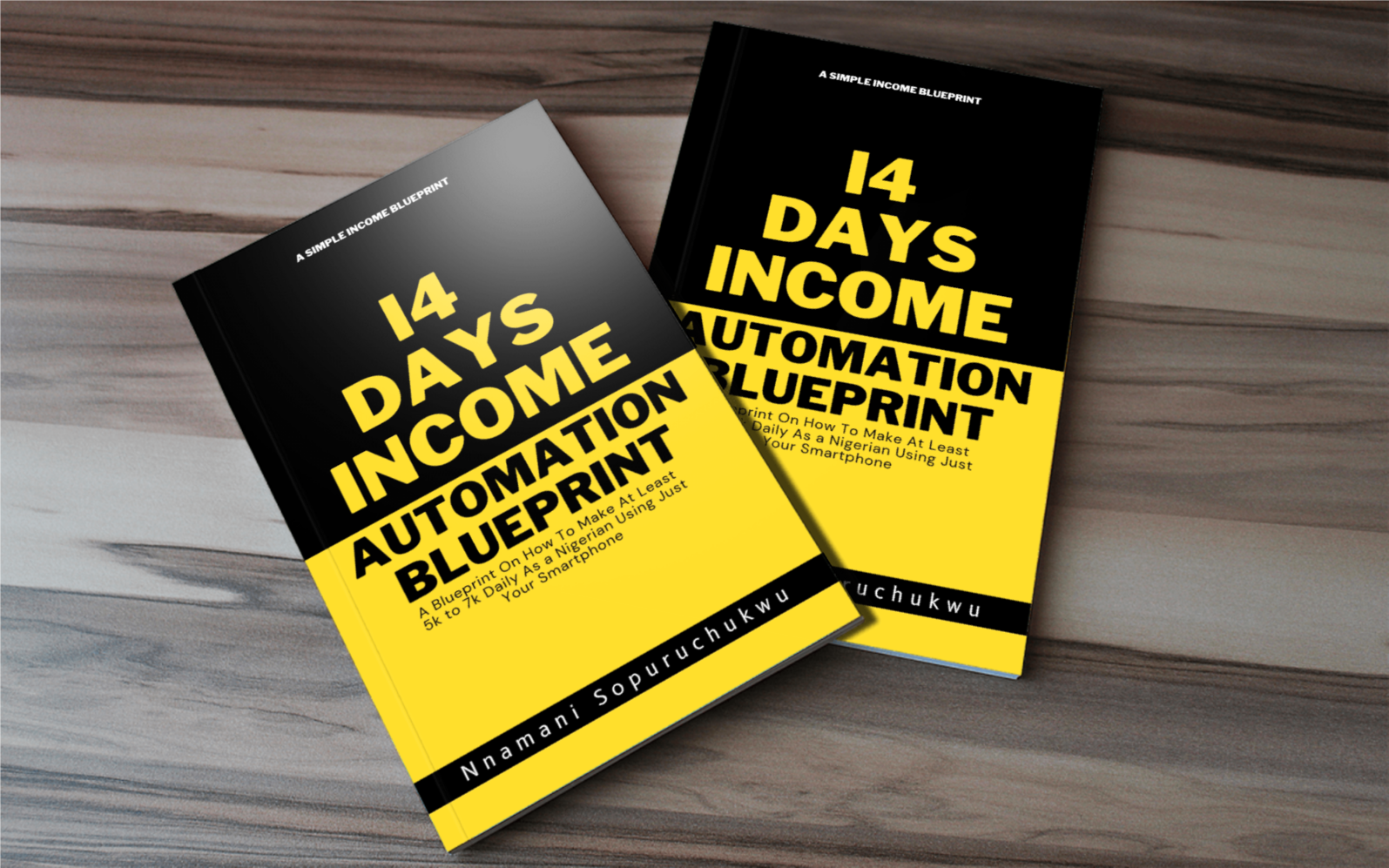 14 Days Income Automation Blueprint Image